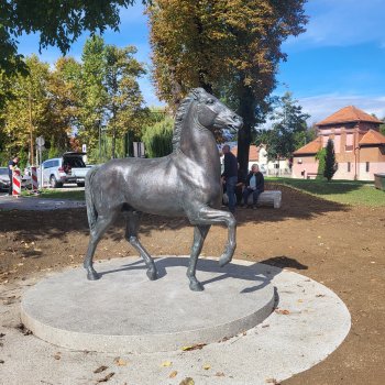Bronast konj